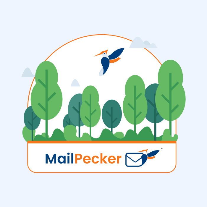 Mailpecker-Crevo_Project-Illustration-2